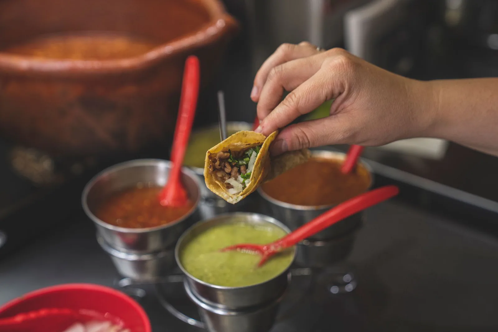Hand holding a street taco with salsa