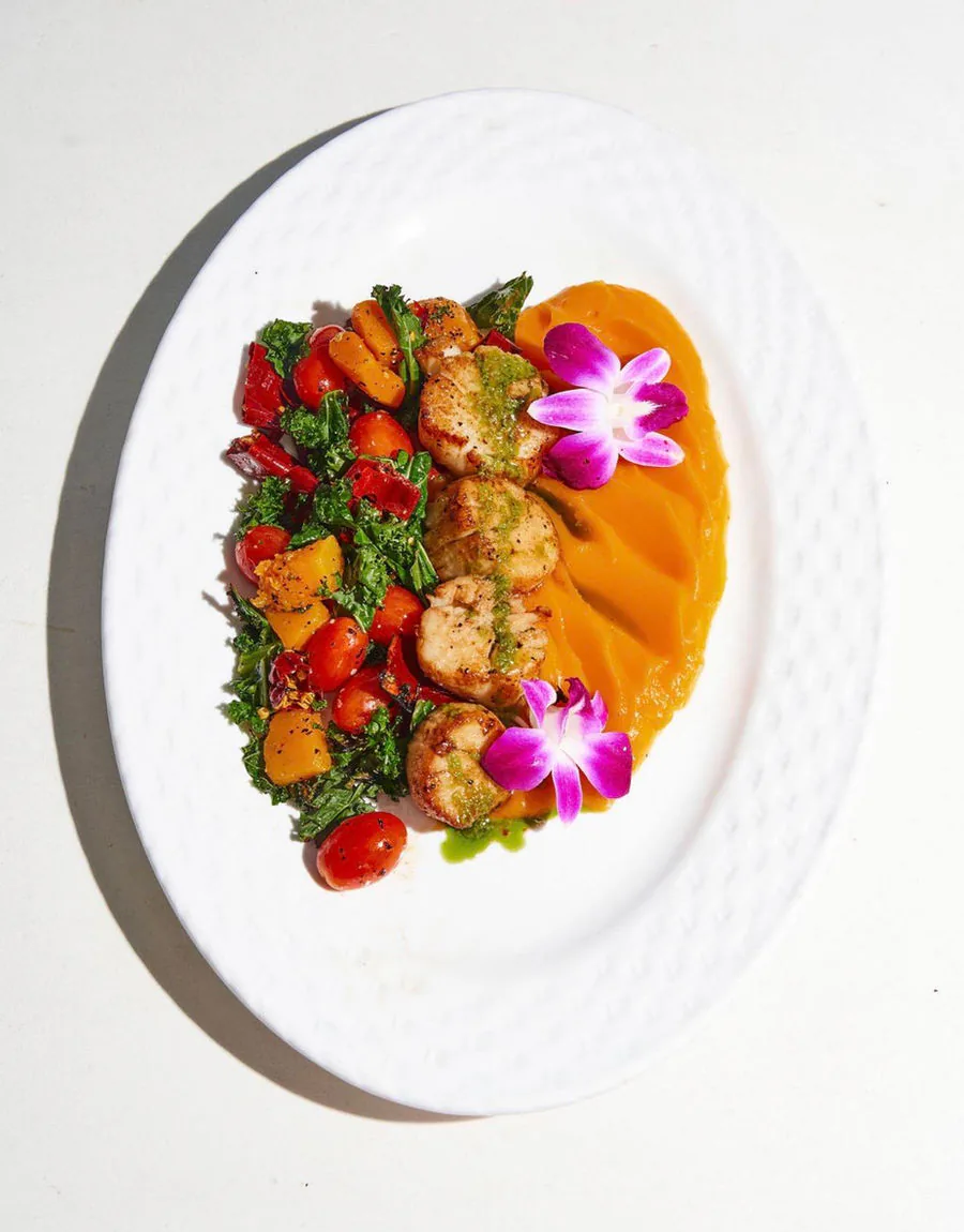 Seared scallops over butternut squash and kale