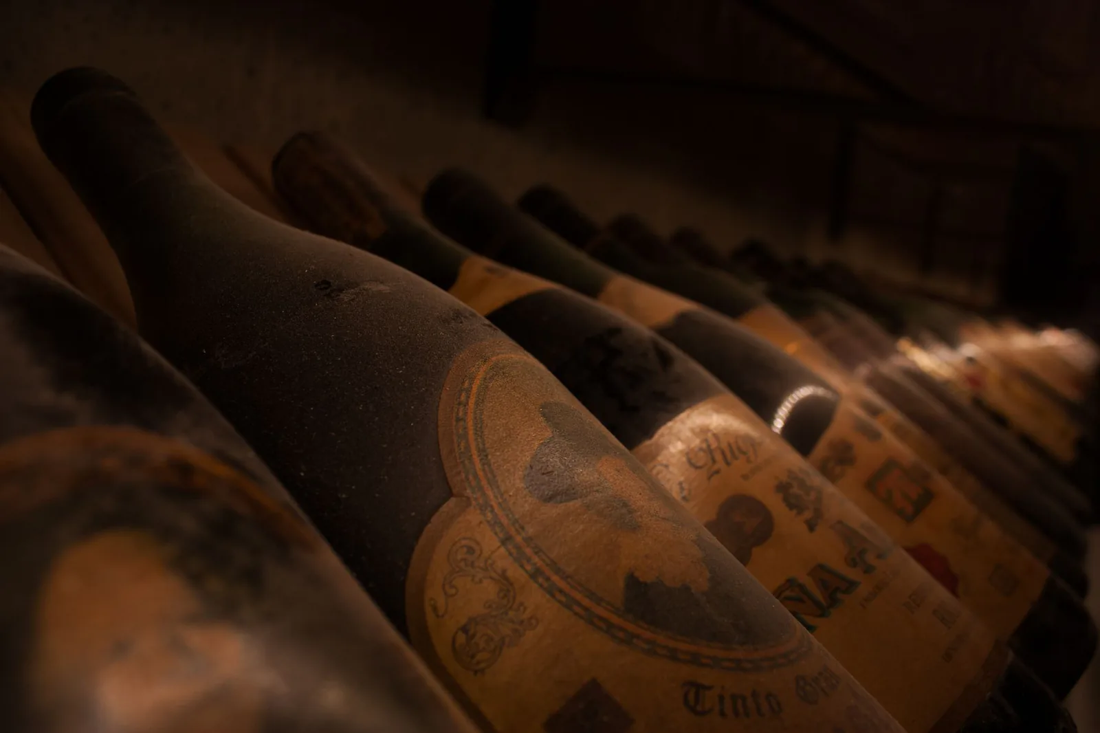 Dusty vintage wine bottles in a dimly lit cellar