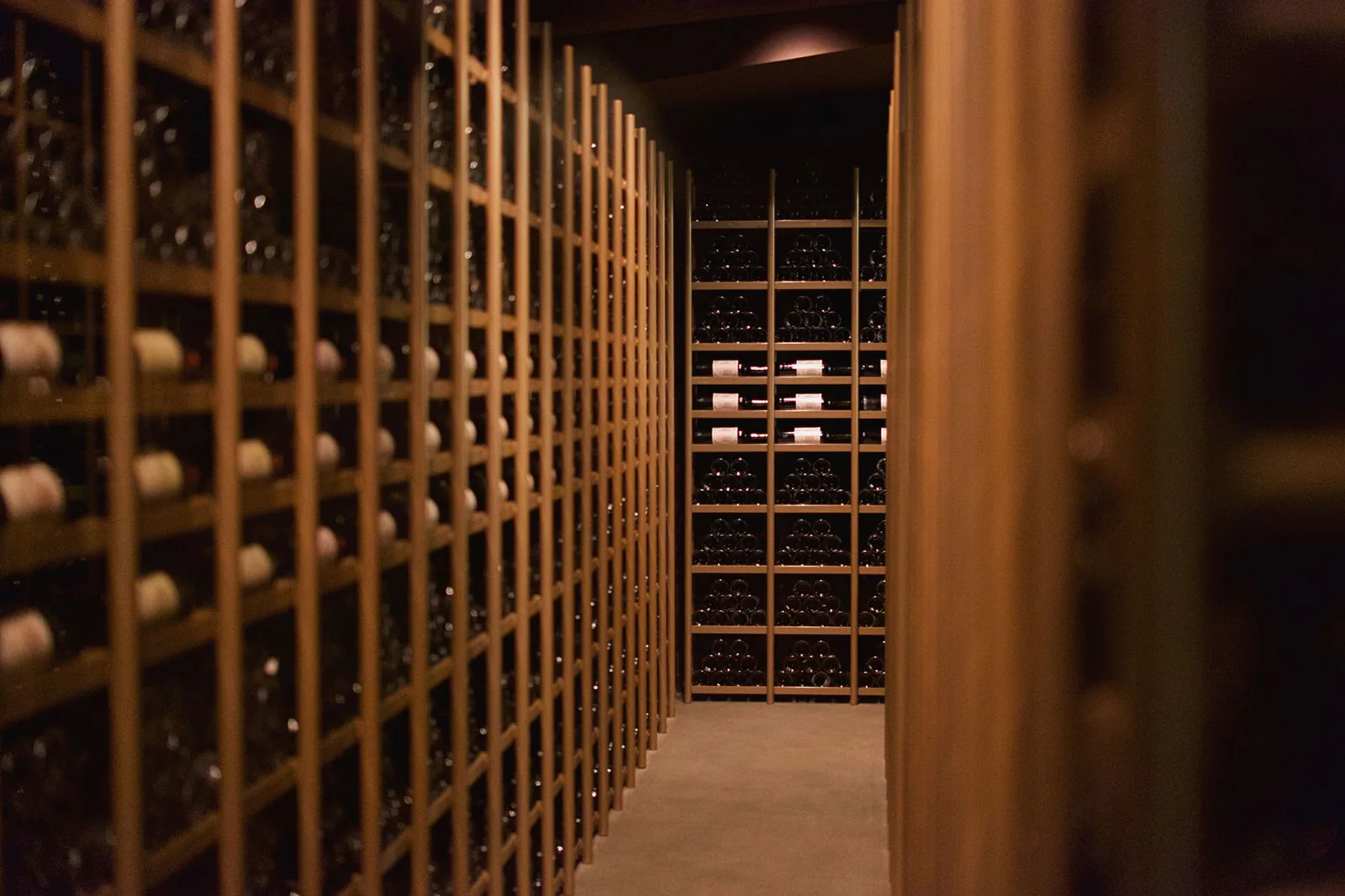 Elegant cellar display with long rows of wine bottles in France