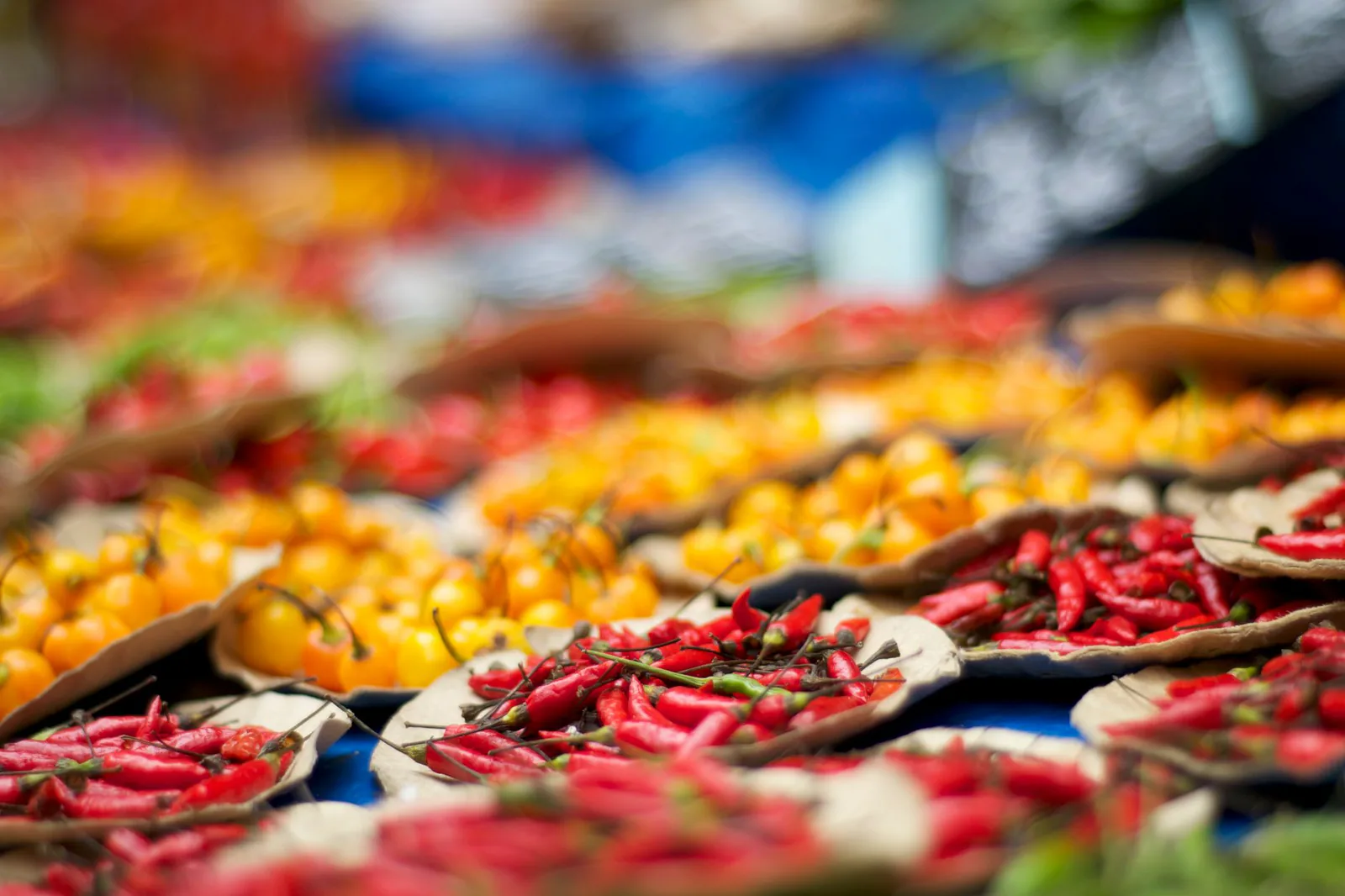 Rainbow bell peppers