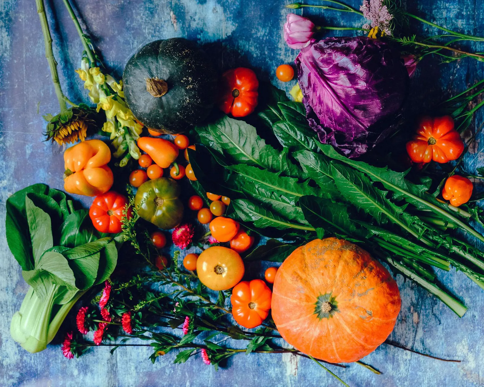 Freshly harvested vegetables arranged on rustic wood