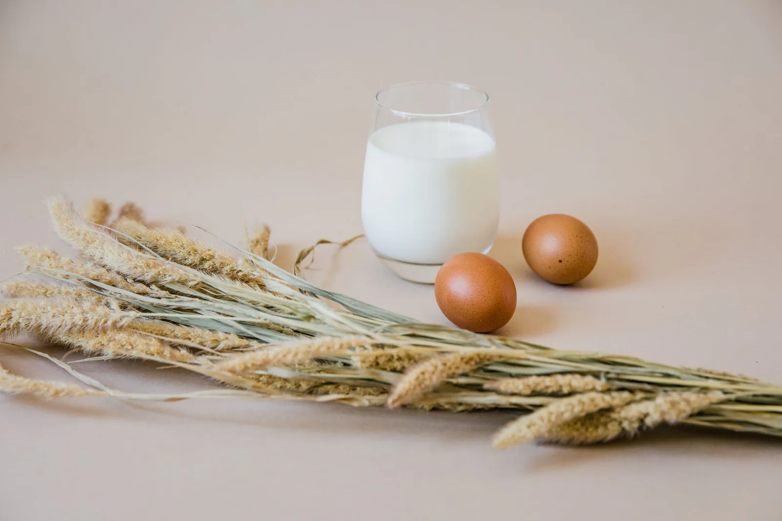 Milk, eggs, and wheat arranged in a warm still life