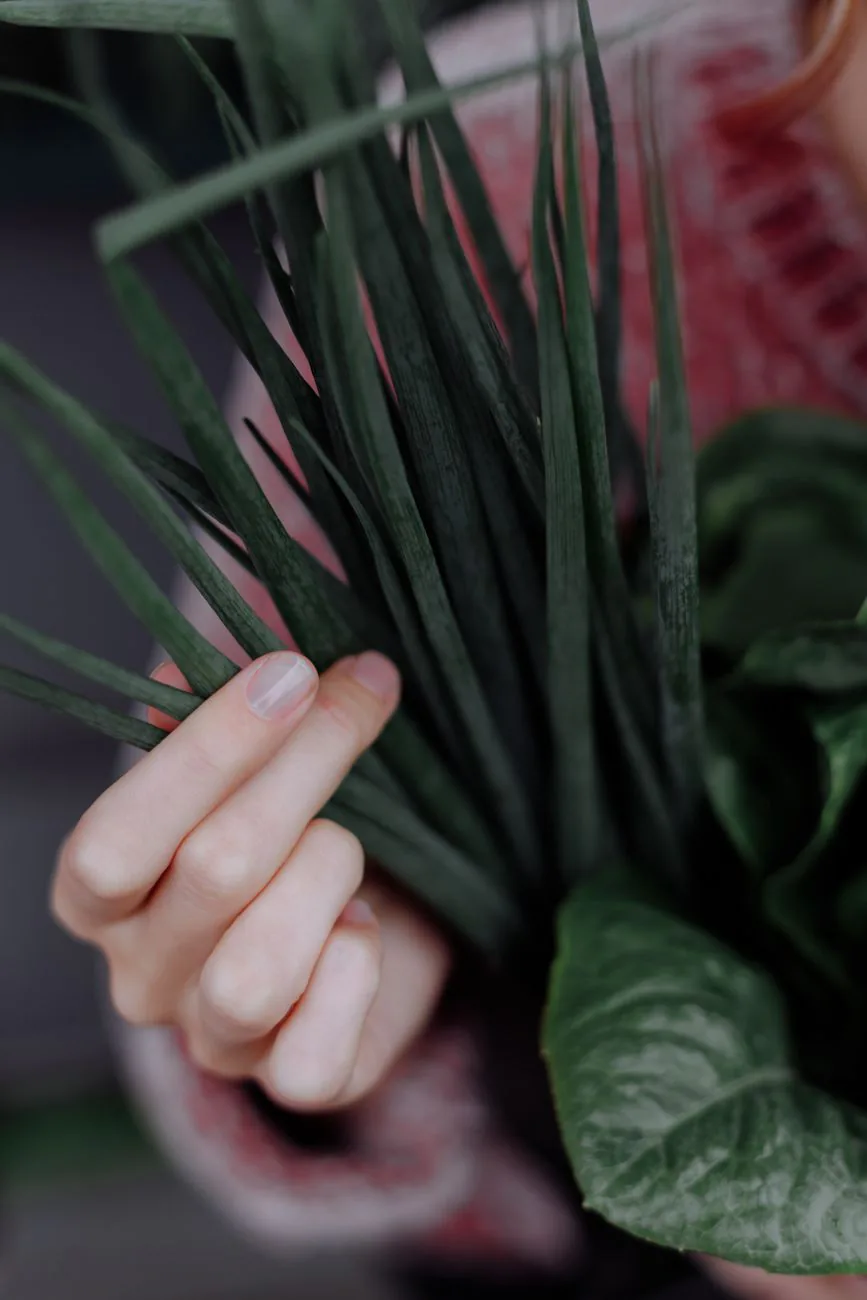 A hand gently holding a bundle of fresh green leaves