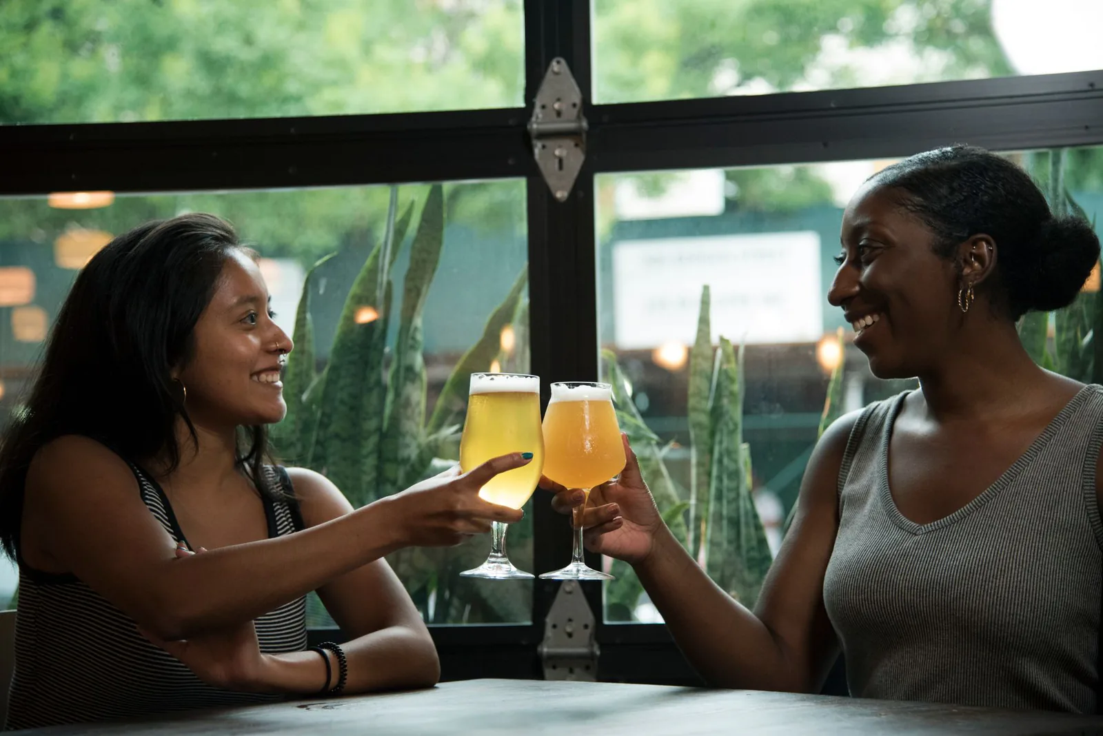 Two friends toasting over drinks