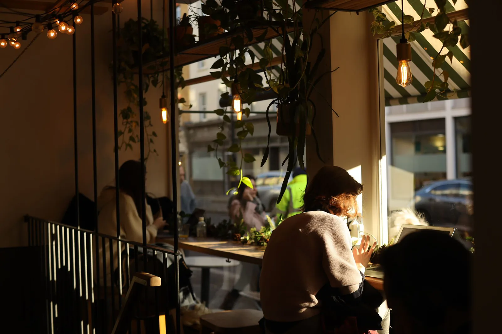 Sunlit Tribal dining room with plants