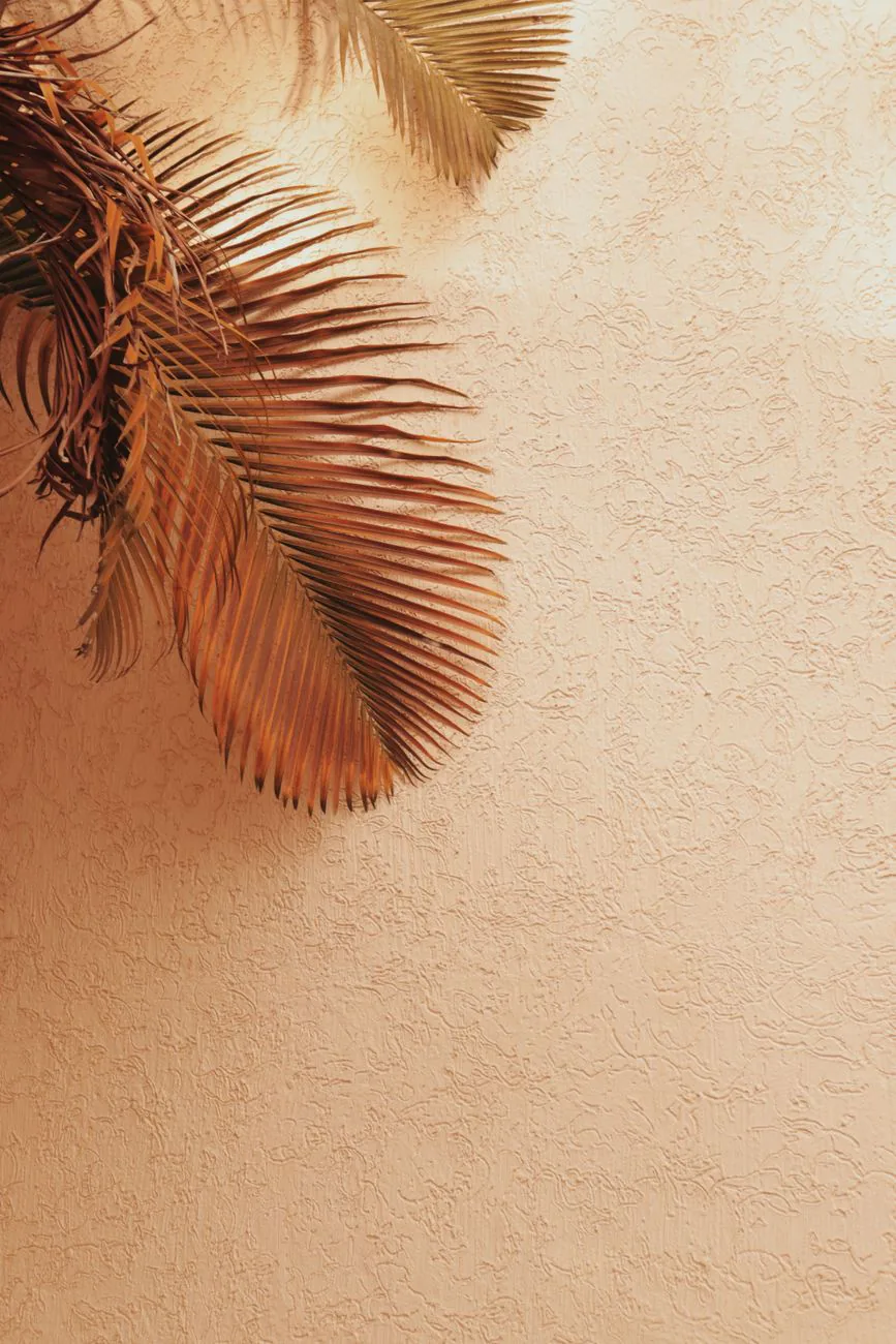 Palm fronds against warm light