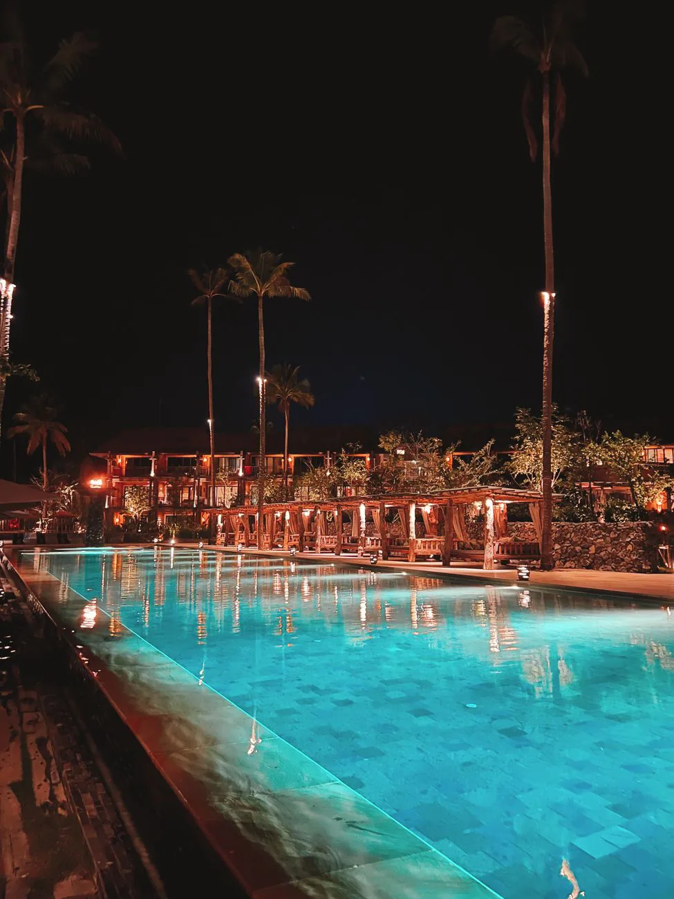 Pool and palms in afternoon light